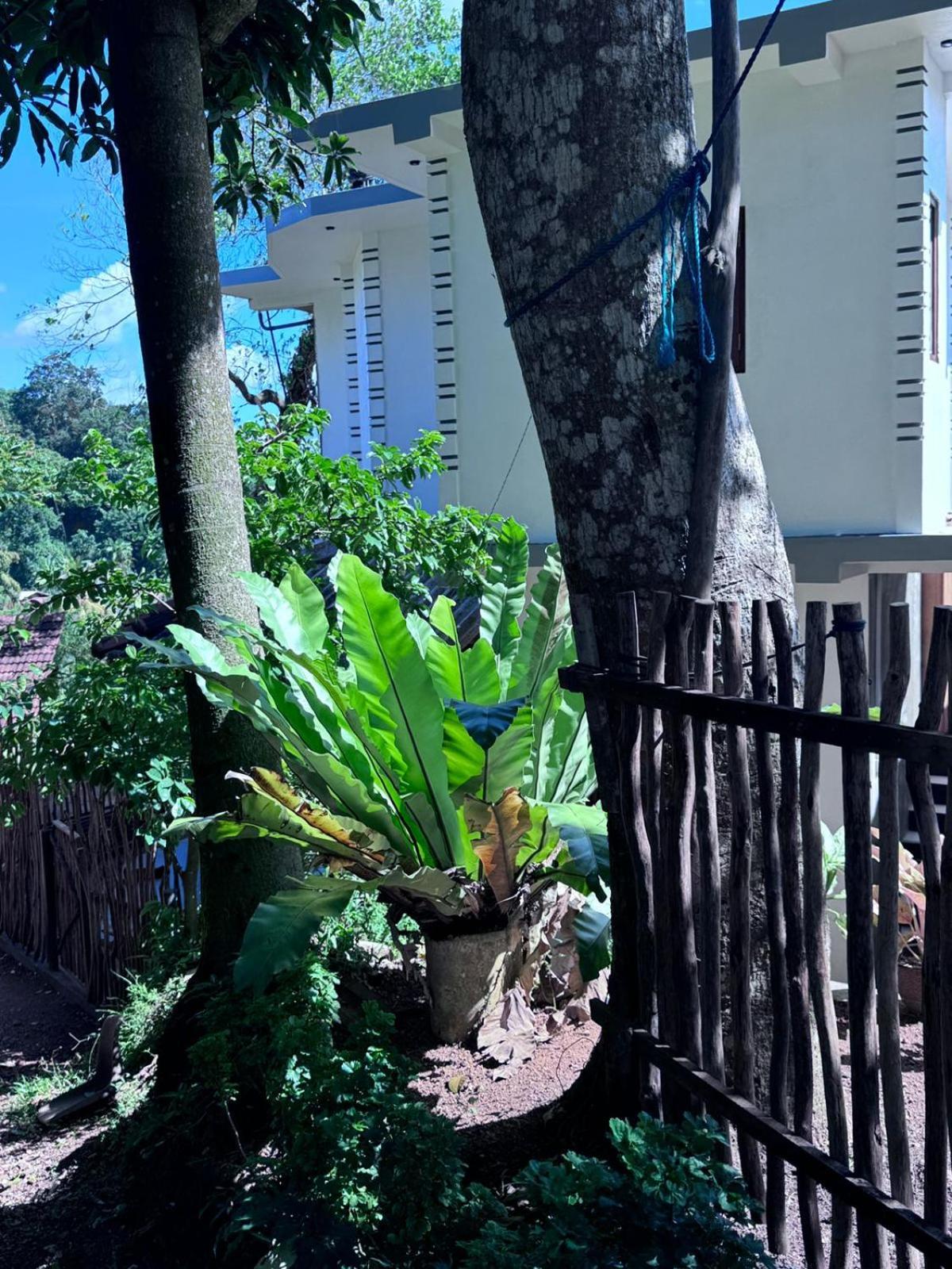 Green Nature Mirissa Ngoại thất bức ảnh