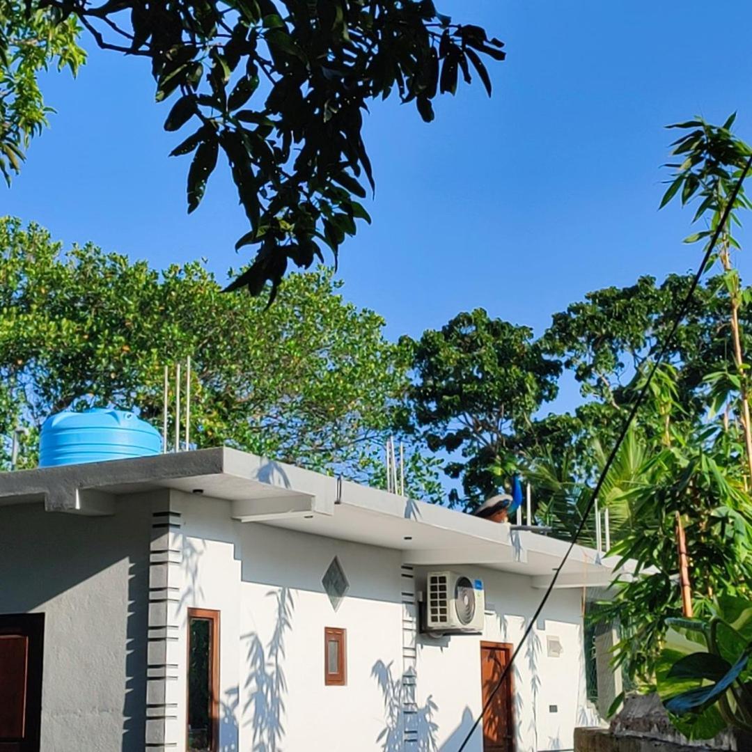 Green Nature Mirissa Phòng bức ảnh